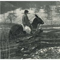 Recipes from the Pack Horse Librarians Badge